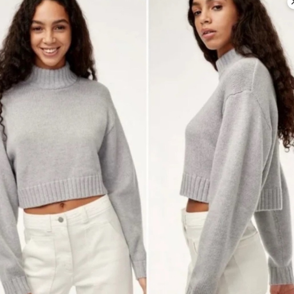 Aritzia Wilfred Free Heinen Sweater | Harper | Gray | Cropped | Wool | M
